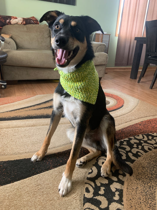 Custom Order Pet Bandana